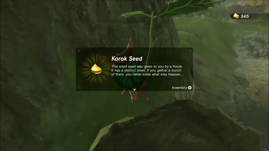 Korok Seed item box with the Korok beside the cliff face Korok Seed item box with the Korok beside the cliff face