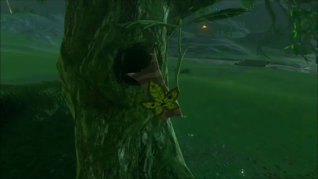 Korok revealed on the tree trunk beside its hollow Korok revealed on the tree trunk beside its hollow