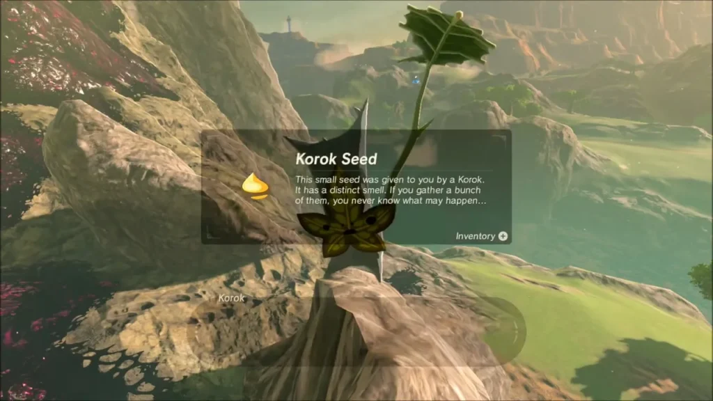 Korok Seed reward on the rocky shelf Korok Seed reward on the rocky shelf