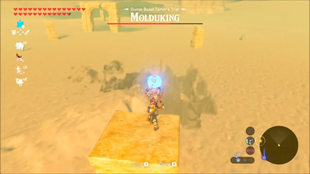 Link holding a remote bomb on a stone block, ready to throw into the sand Link holding a remote bomb on a stone block, ready to throw into the sand