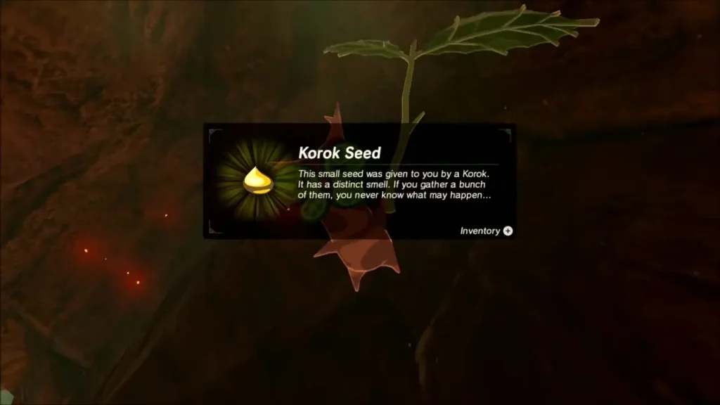 Korok Seed item box shown in front of the leaf-costume Korok in the dark cave Korok Seed item box shown in front of the leaf-costume Korok in the dark cave