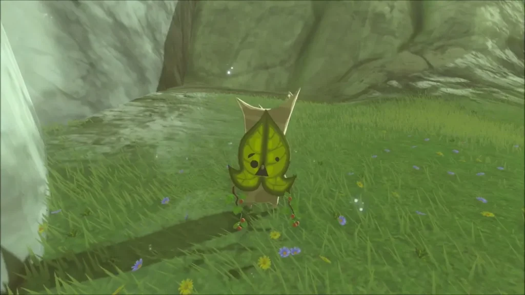 A Korok standing in the grass beside the rock face A Korok standing in the grass beside the rock face