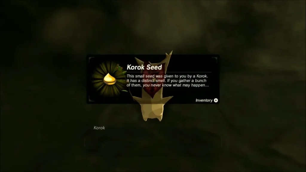 Korok handing over a Korok Seed, with the item box shown Korok handing over a Korok Seed, with the item box shown