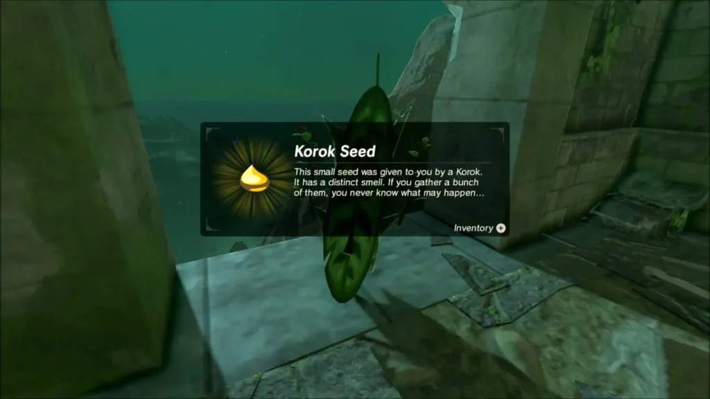 Korok seed box appearing beside the ruined wall after the Korok pops out Korok seed box appearing beside the ruined wall after the Korok pops out