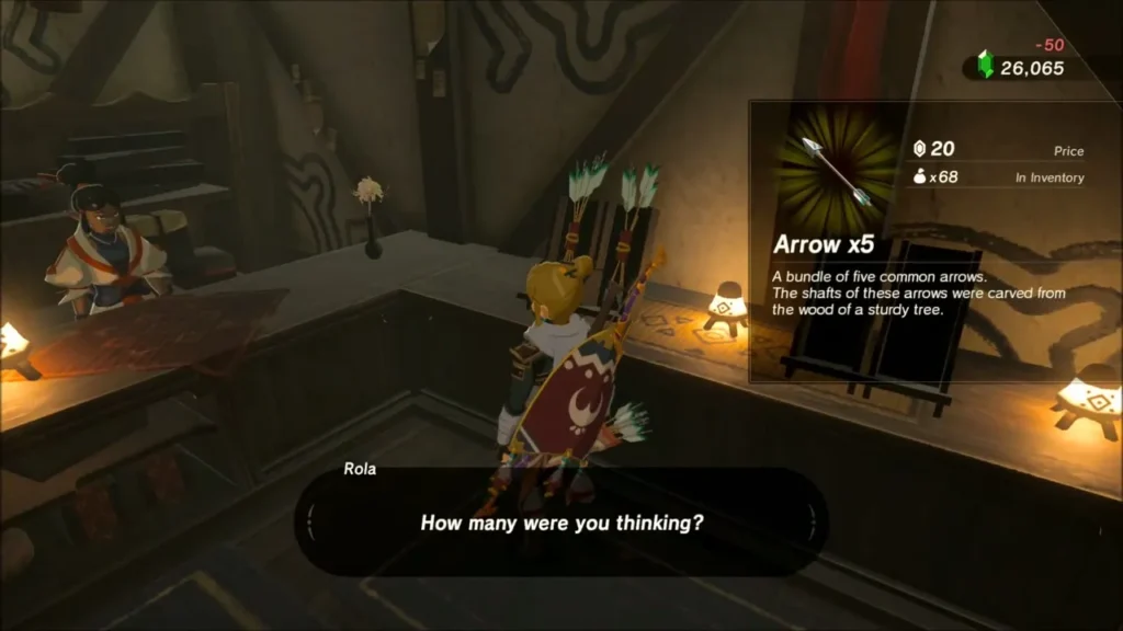 Link buying arrows at Rola's shop in Kakariko Village Link buying arrows at Rola's shop in Kakariko Village