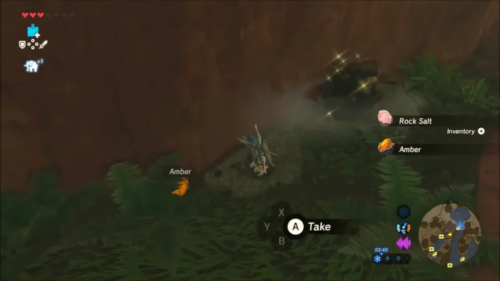 Link picking up Rock Salt and Amber in the jungle by the stream