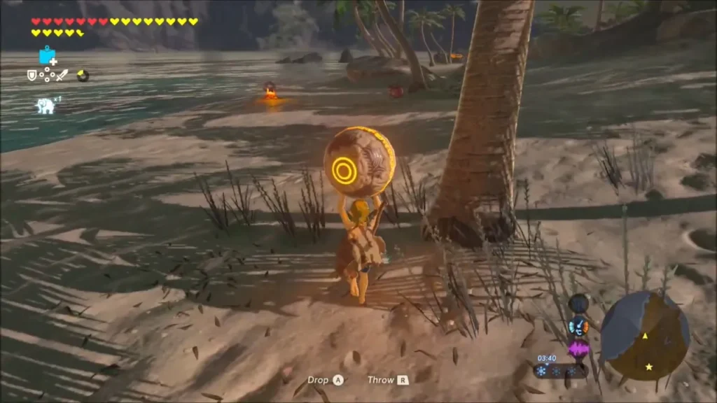 Link carrying the glowing orb along the sandy beach