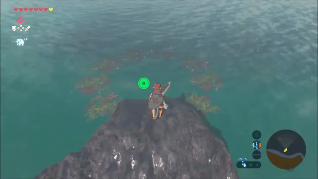 Link standing on a dark sea rock, ready to glide toward the Korok