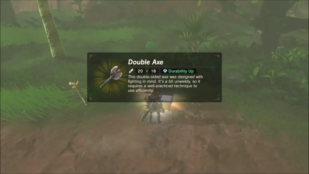 Link holding up the Double Axe with its name box