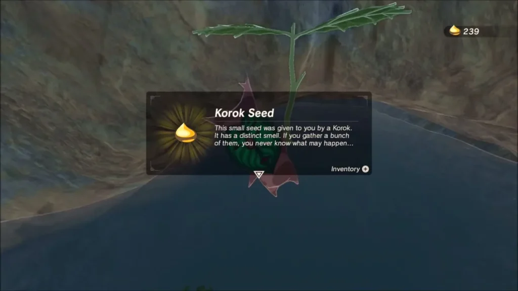 Korok Seed reward box over the Korok in the pool