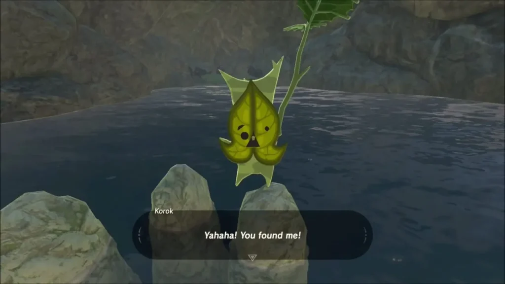 A Korok perched on a pair of rocks in the pool saying it was found