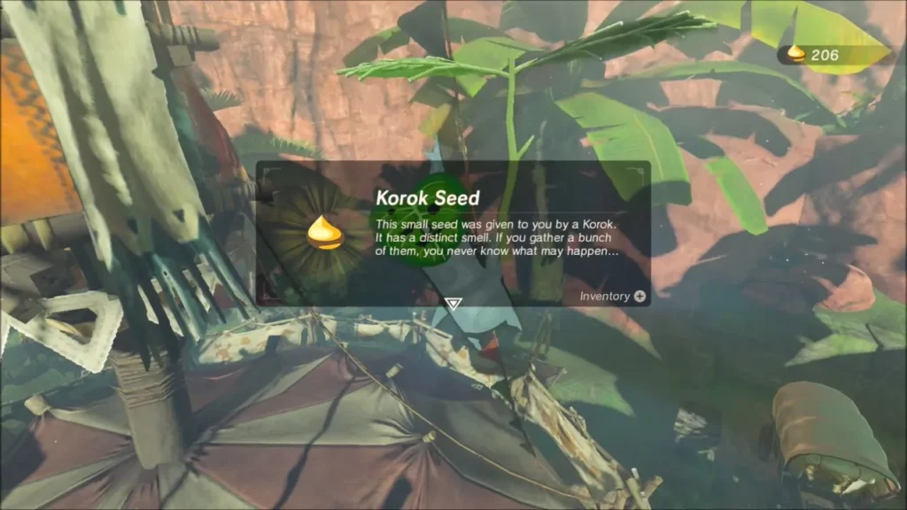 Korok Seed item box after the Korok hands it over