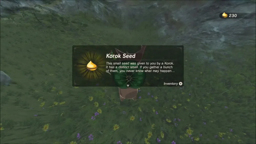 Korok Seed item box after the Korok pops out