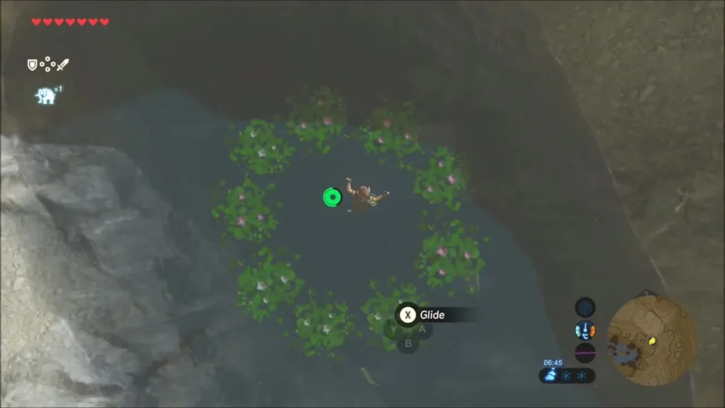 Link gliding down into the ring of green plants in the pool
