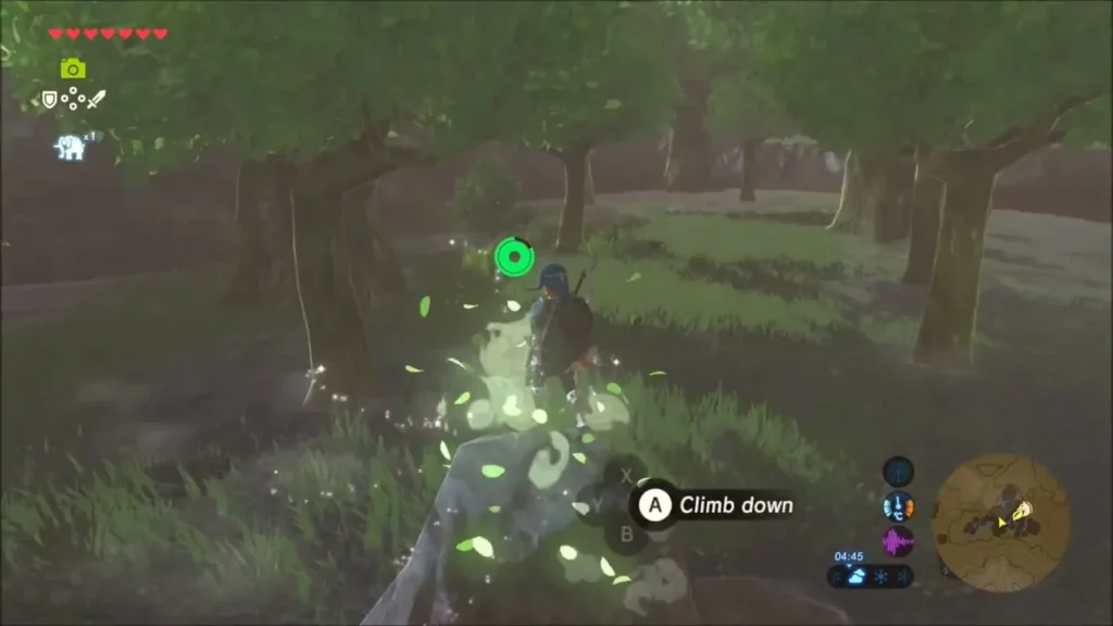 Link amid swirling leaves beside a Korok in the woods