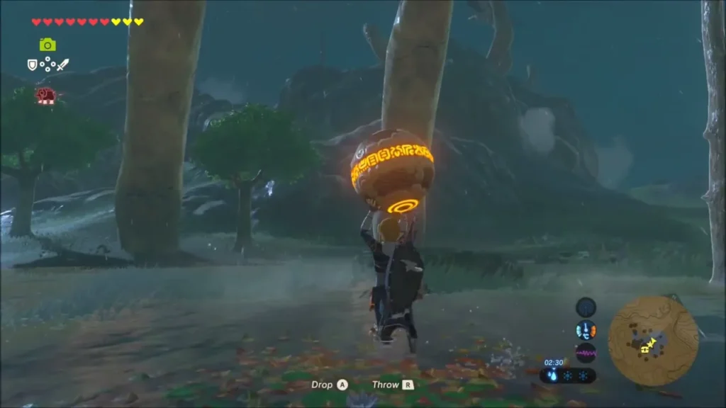 Link carrying the Middle Kin's orb past tall bone pillars