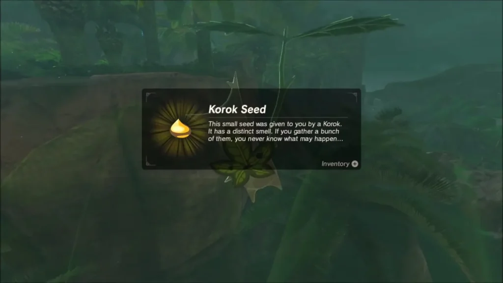 Korok Seed item box beside a leafy seed high in the palm