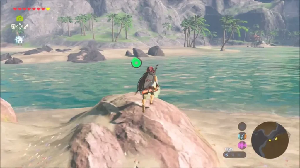 Link standing on a pinkish rock in the shallows near the shore