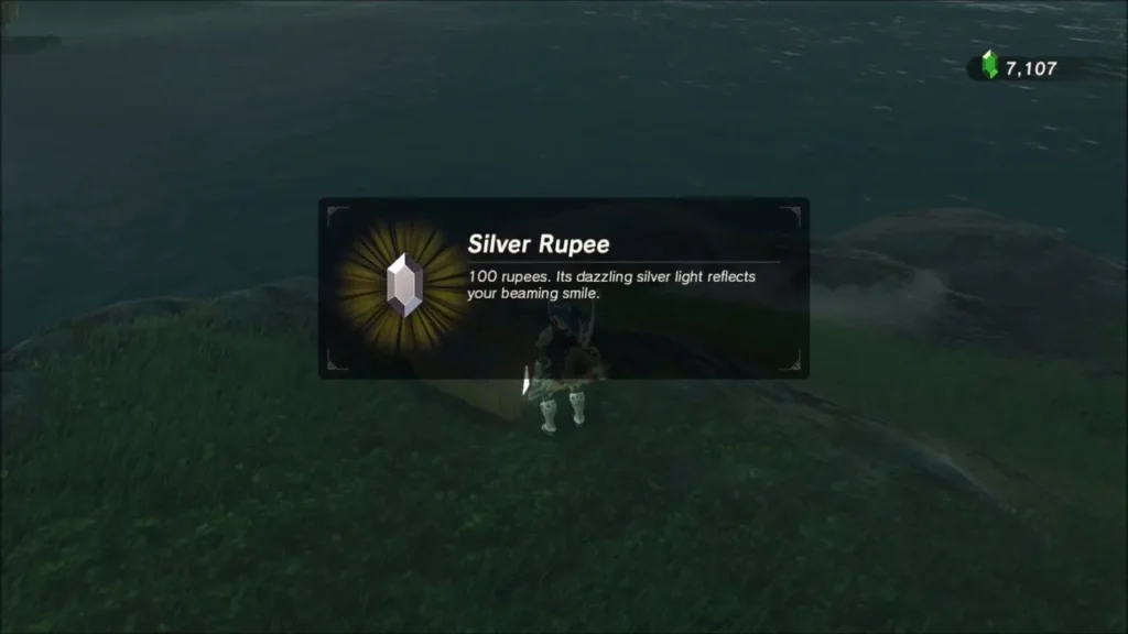 Silver Rupee worth 100 rupees shown after opening the chest