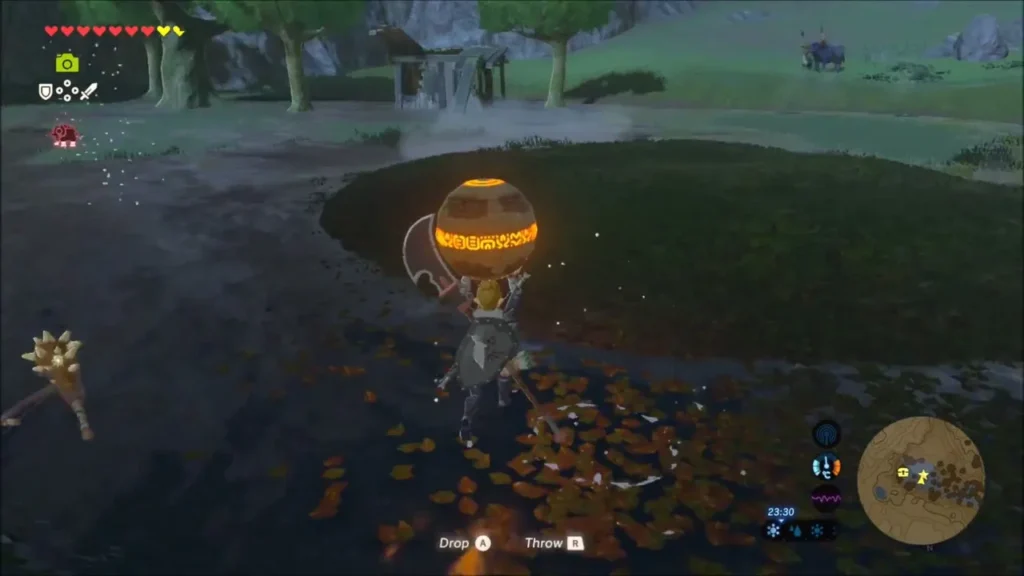 Link carrying the Youngest Kin's orb past the pond