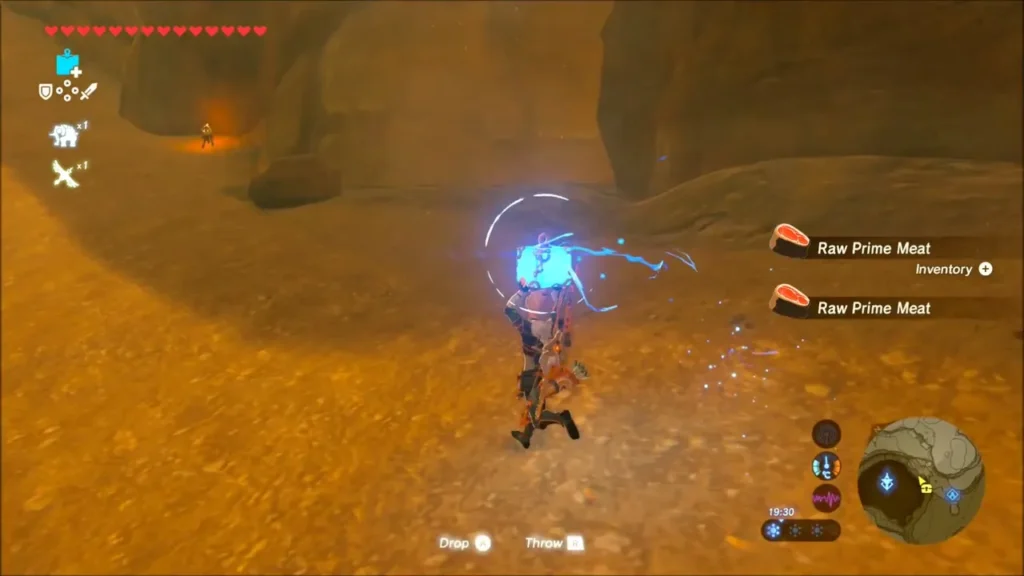 Link holding a Remote Bomb after collecting more Raw Prime Meat Link holding a Remote Bomb after collecting more Raw Prime Meat