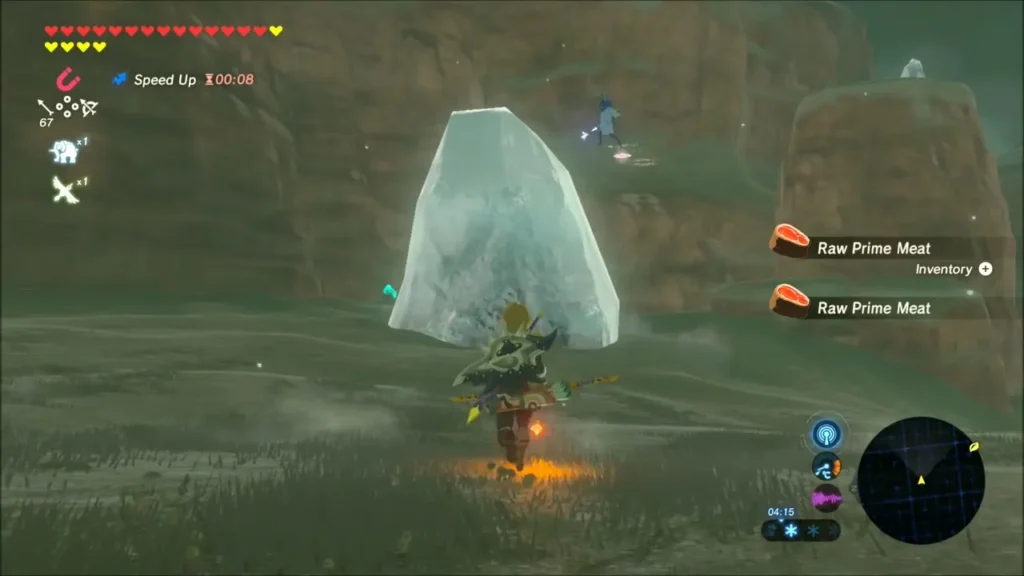 Link approaching a large block of ice that seals the shrine Link approaching a large block of ice that seals the shrine