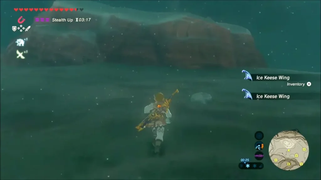 Link walking over the snow collecting Ice Keese Wings Link walking over the snow collecting Ice Keese Wings