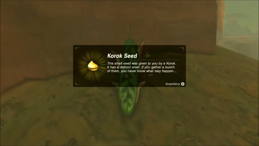 Korok Seed item box over the Korok in the canyon Korok Seed item box over the Korok in the canyon