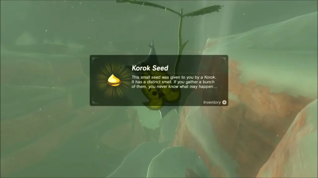 Korok Seed received from the Korok on the cliff ledge Korok Seed received from the Korok on the cliff ledge