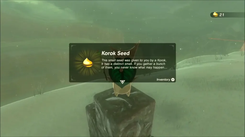 Korok Seed received from the Korok standing on the block Korok Seed received from the Korok standing on the block
