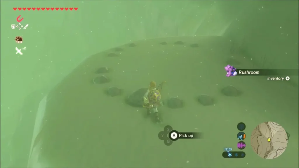 Link beside a dotted stone ring on a snowy mound with a rock to pick up Link beside a dotted stone ring on a snowy mound with a rock to pick up