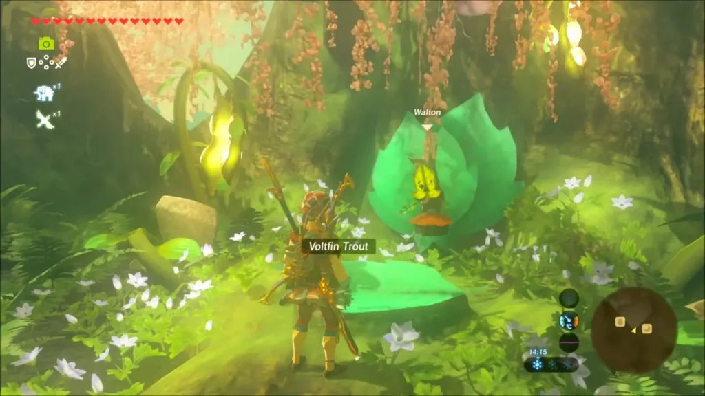 Link offering a Voltfin Trout on the leaf in front of Walton Link offering a Voltfin Trout on the leaf in front of Walton