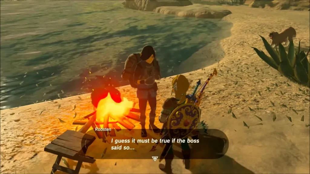Link talking to a merchant beside the campfire at the oasis Link talking to a merchant beside the campfire at the oasis