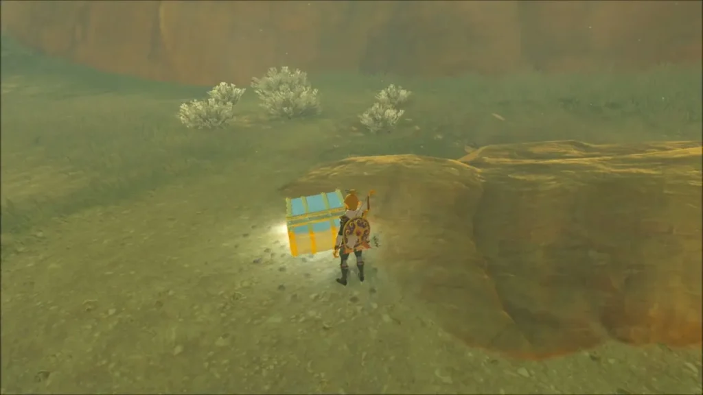 Link beside a chest tucked into the grass next to a rock in the canyon Link beside a chest tucked into the grass next to a rock in the canyon