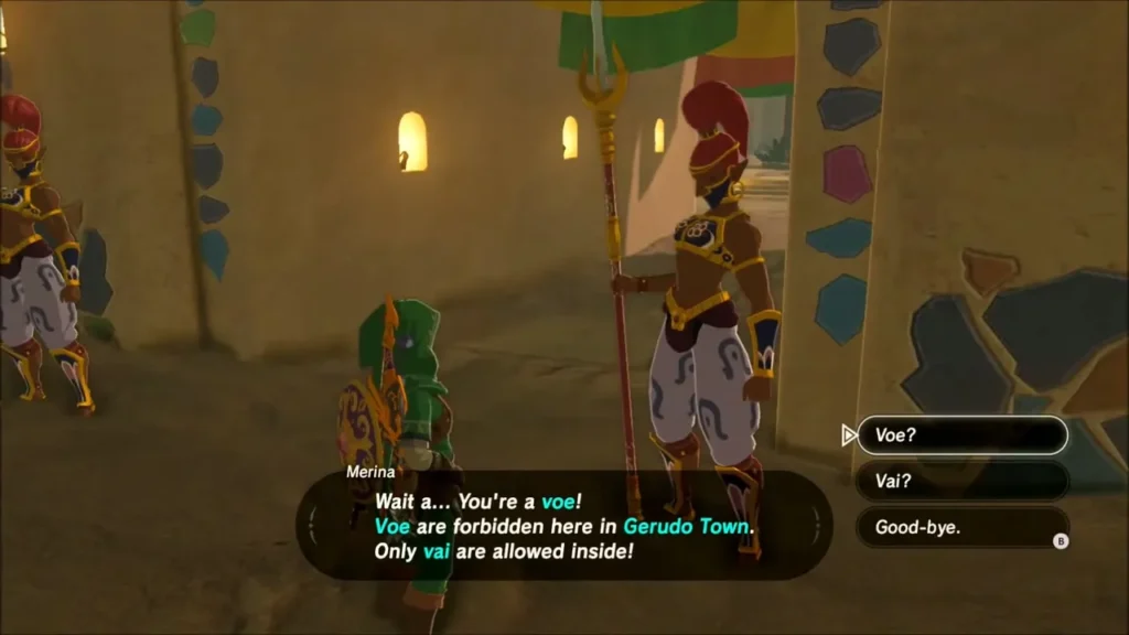 A Gerudo guard telling Link that voe are forbidden in Gerudo Town A Gerudo guard telling Link that voe are forbidden in Gerudo Town
