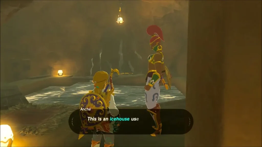 A Gerudo woman in the icehouse telling Link what the place is A Gerudo woman in the icehouse telling Link what the place is