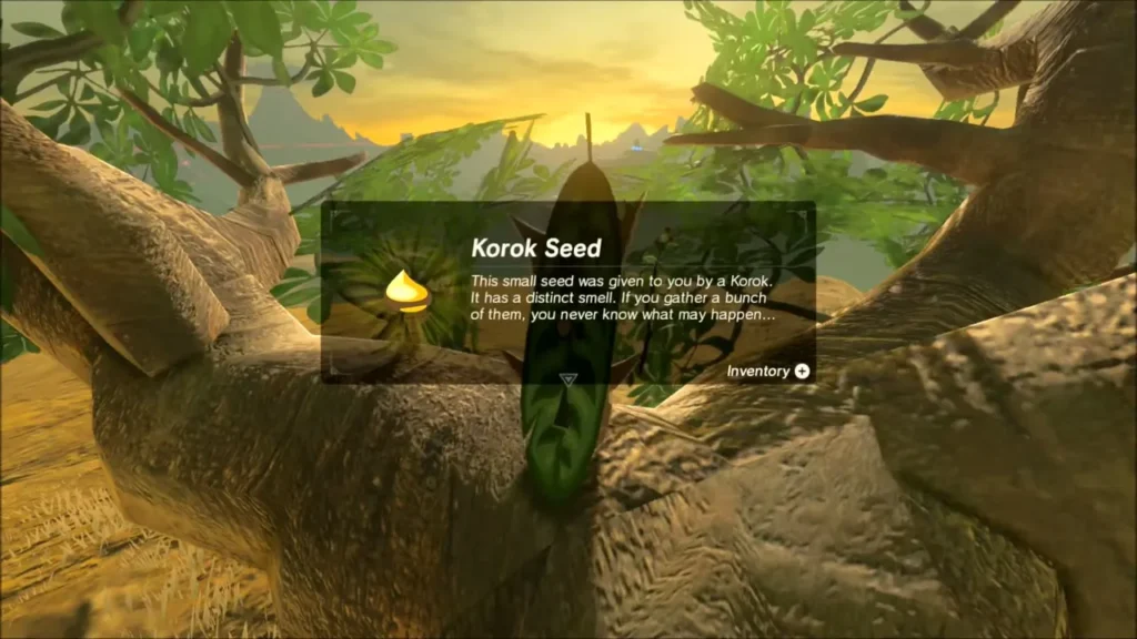 Korok Seed received from a Korok hiding in the baobab branches Korok Seed received from a Korok hiding in the baobab branches