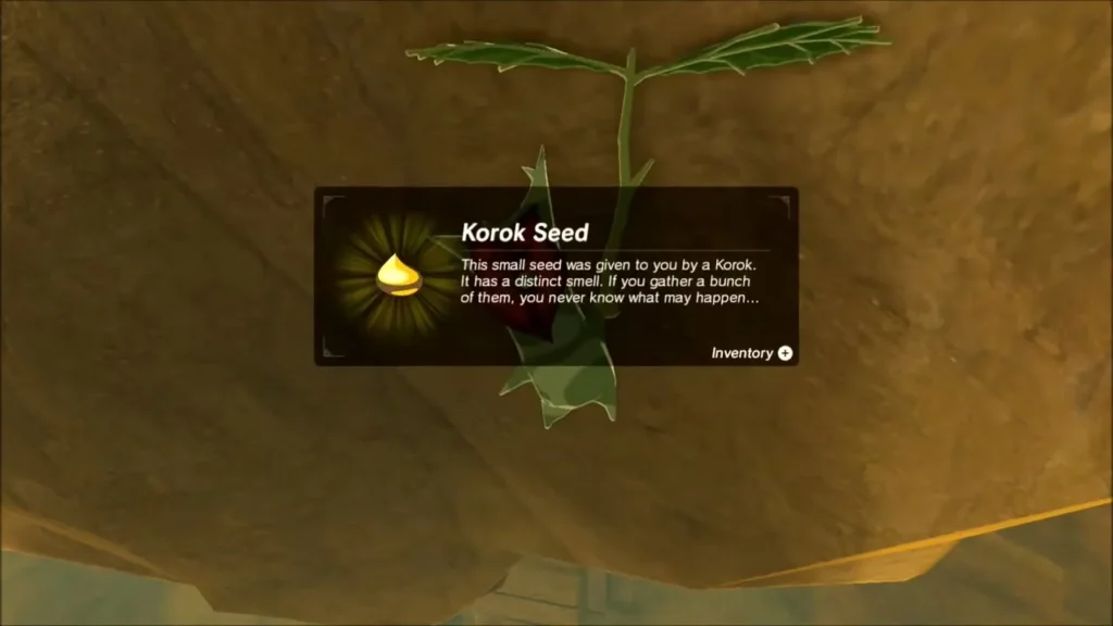 Korok Seed received message over the Korok under the rock Korok Seed received message over the Korok under the rock