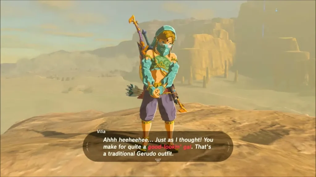 Link wearing the Gerudo Veil, Top and Sirwal Link wearing the Gerudo Veil, Top and Sirwal