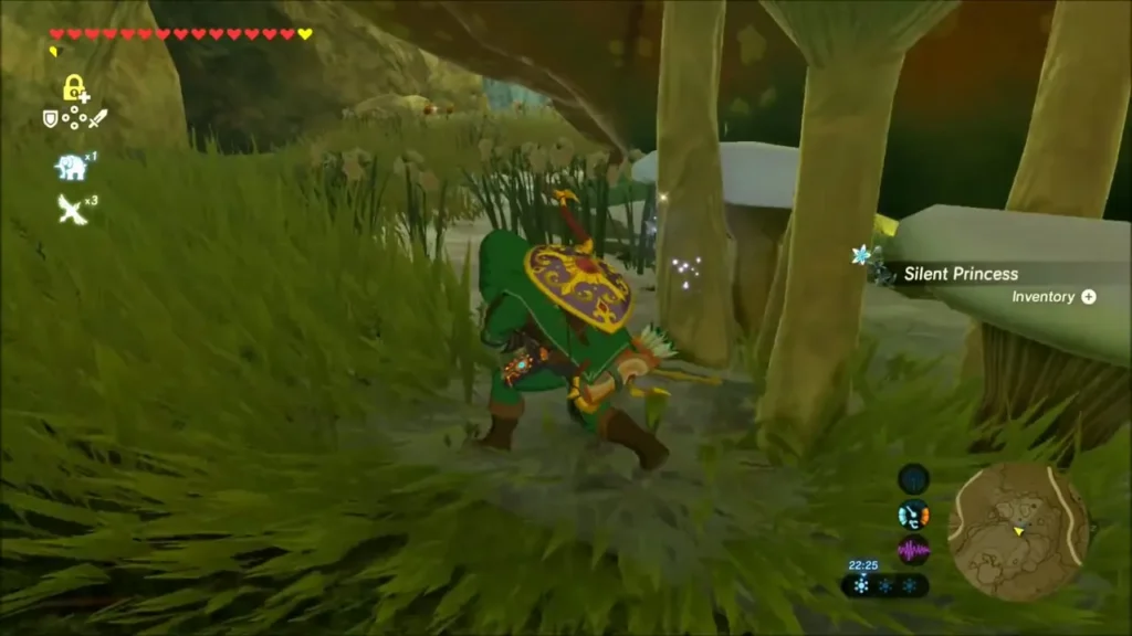 Link picking a Silent Princess flower among mushroom stalks Link picking a Silent Princess flower among mushroom stalks