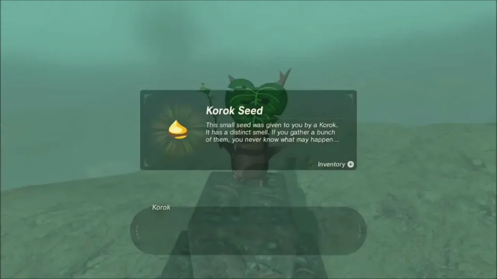 The Korok from the stone pillar gives Link a Korok Seed The Korok from the stone pillar gives Link a Korok Seed