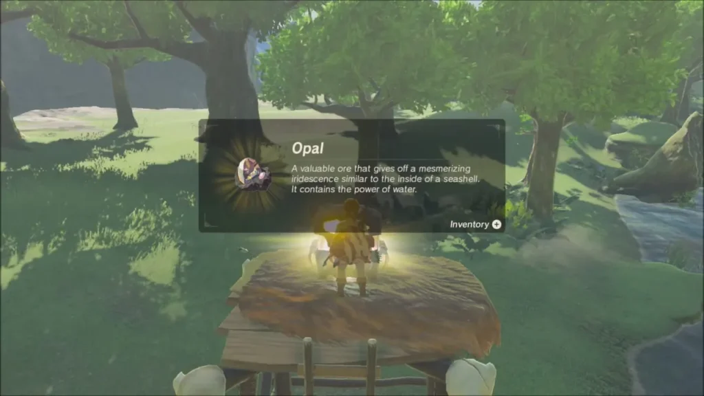 Link on the log platform holding up an Opal from the chest Link on the log platform holding up an Opal from the chest