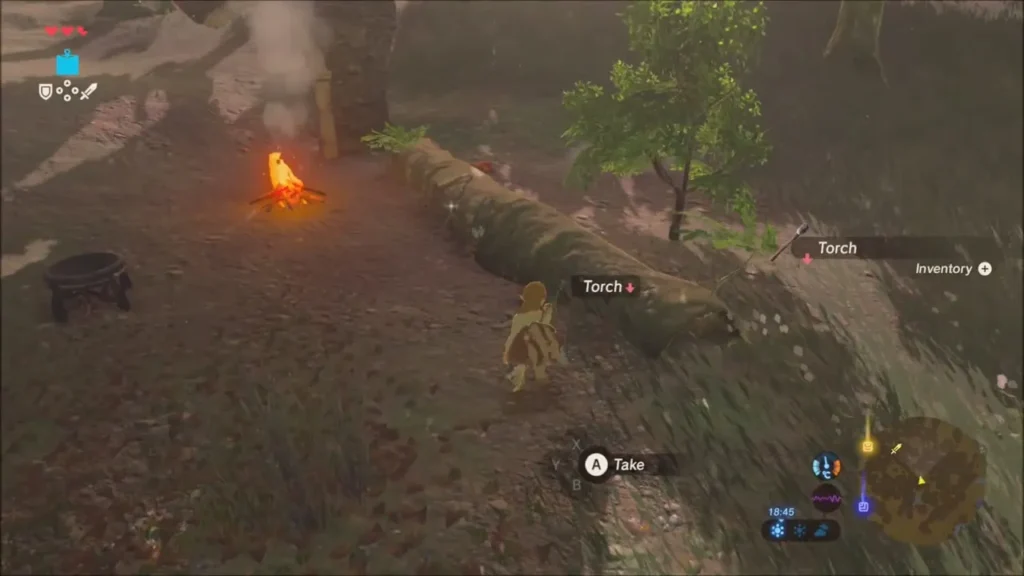 A lit campfire and cooking pot among the trees A lit campfire and cooking pot among the trees