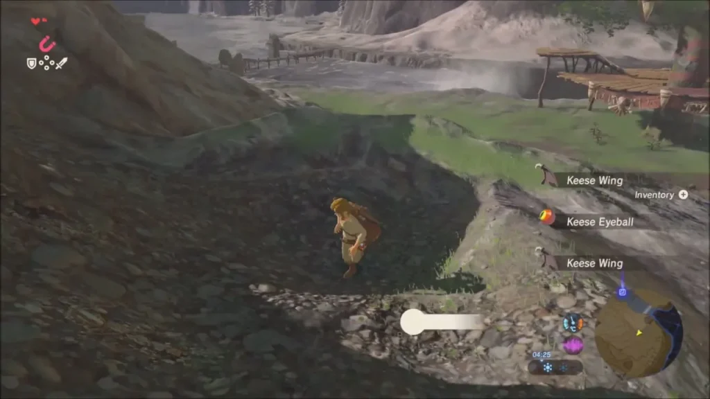Link collecting Keese Wings and a Keese Eyeball after the fight Link collecting Keese Wings and a Keese Eyeball after the fight
