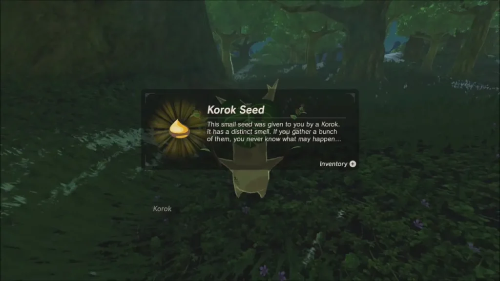Korok Seed item box beside the Korok in the forest Korok Seed item box beside the Korok in the forest