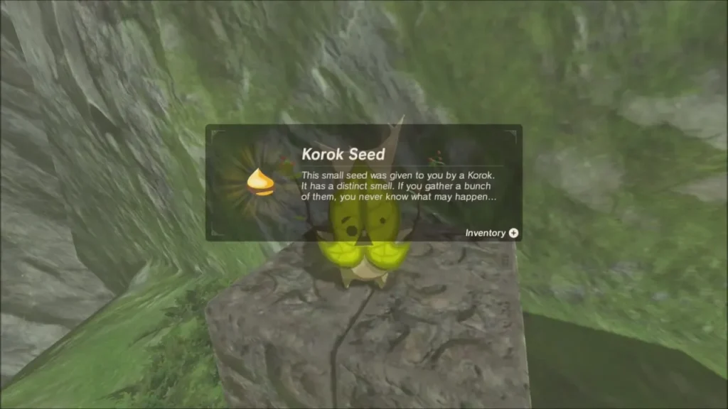 The Korok on a stone block with the Korok Seed item box The Korok on a stone block with the Korok Seed item box