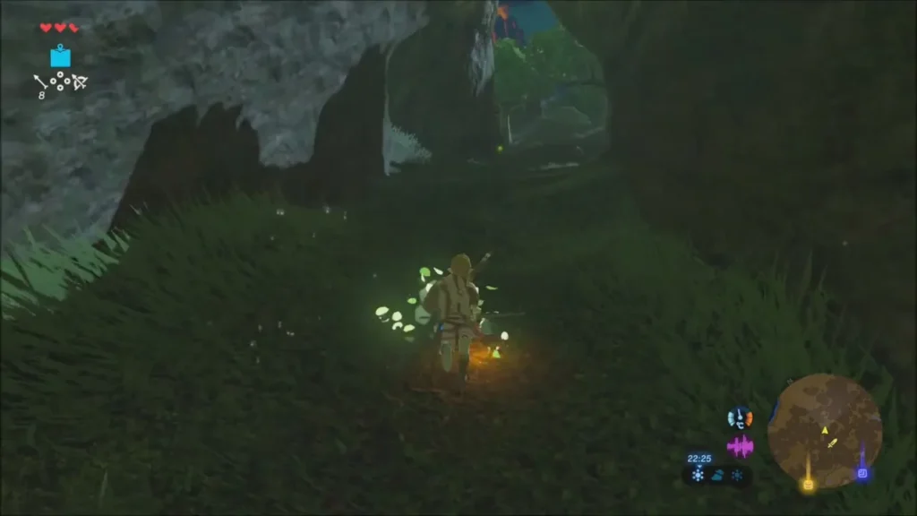 Glowing petals trailing around Link in the dark forest Glowing petals trailing around Link in the dark forest