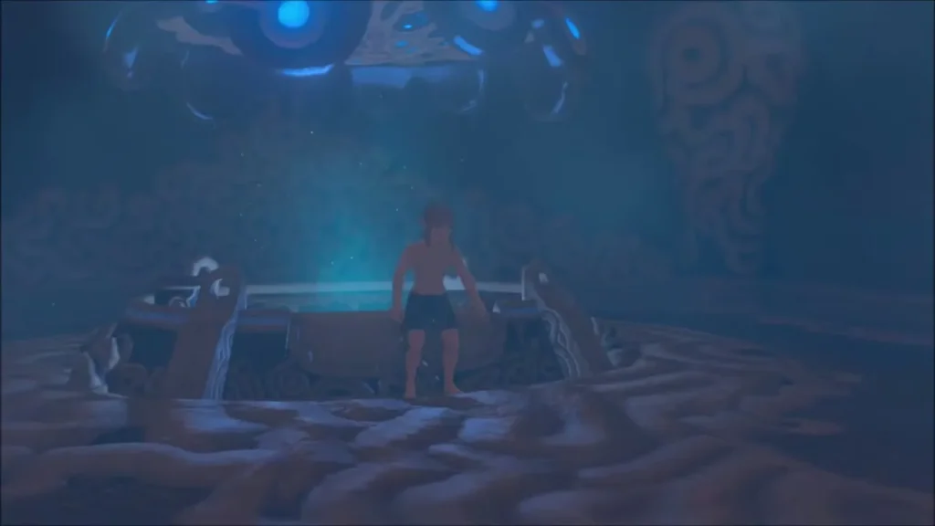 Link standing up from the water bed in the dim Shrine of Resurrection Link standing up from the water bed in the dim Shrine of Resurrection