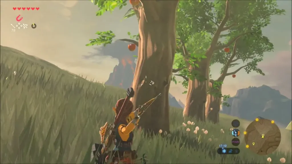 Link beside apple trees on the hillside