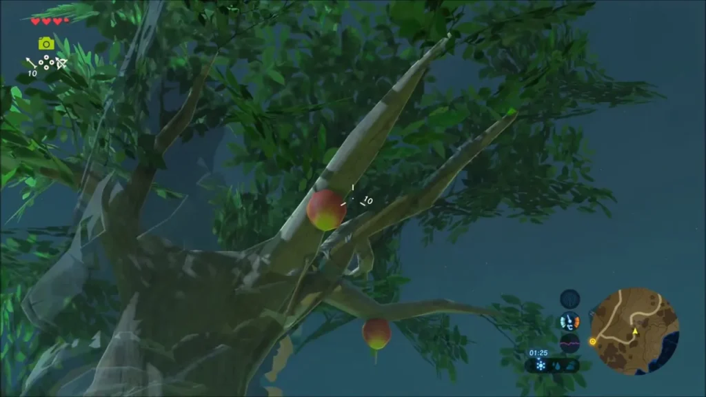 Red apples hanging in the branches of a tree at night